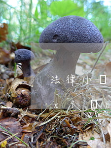法律小貼士|保險(xiǎn)法被保險(xiǎn)人需防范保險(xiǎn)合同解除的風(fēng)險(xiǎn)之三——投保人、被保險(xiǎn)人違反保險(xiǎn)標(biāo)的安全維護(hù)義務(wù)